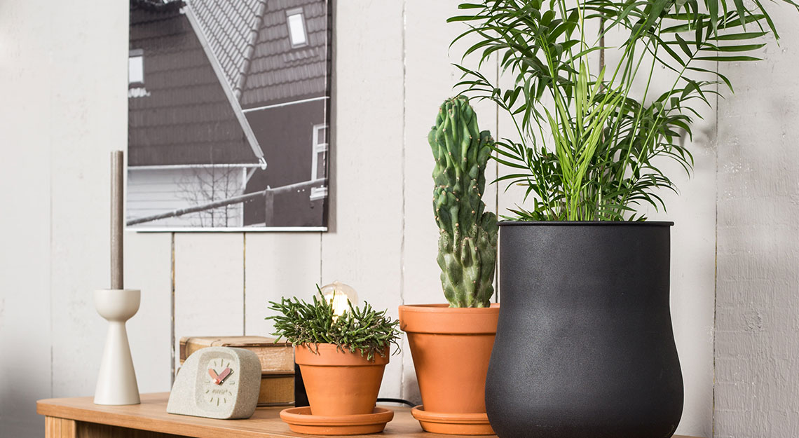 10x eigenwijs design van zuiver