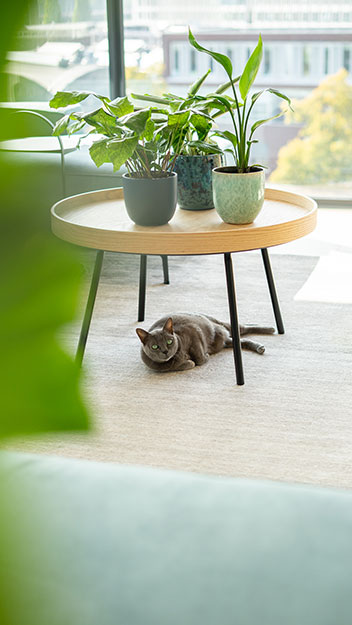 binnenkijken bij peter en daan van Jansen Totaal Wonen