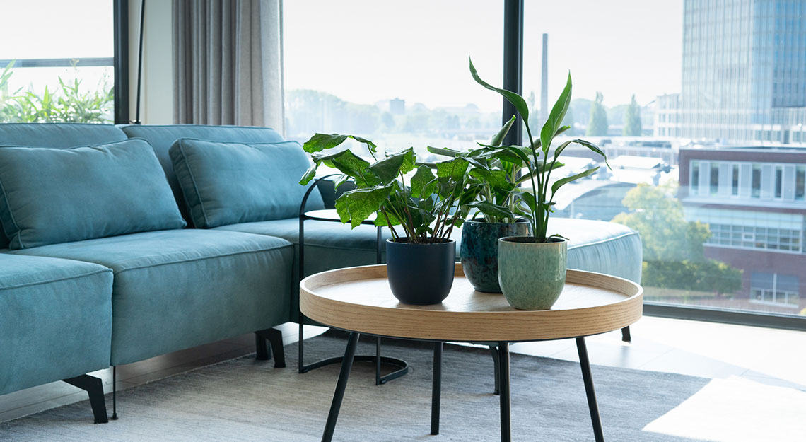 binnenkijken bij peter en daan van Jansen Totaal Wonen