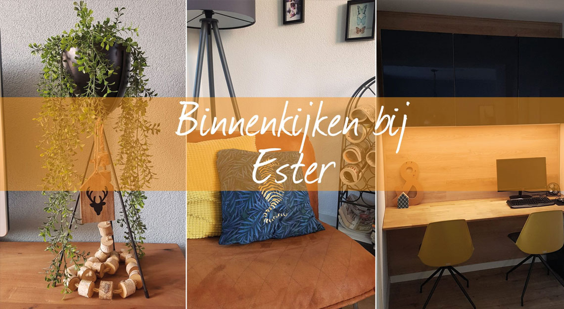 Afbeelding voor Binnenkijken bij Ester