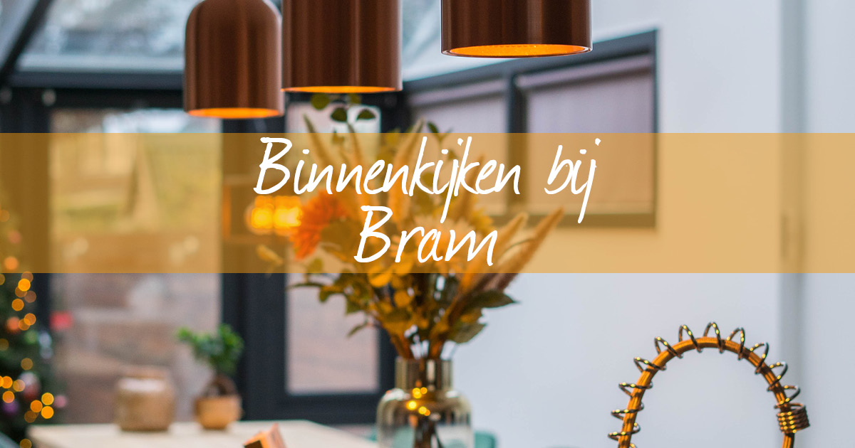 Afbeelding voor Binnenkijken bij Bram