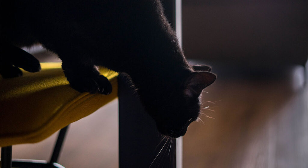 interieuradvies bij Jansen Totaal Wonen.